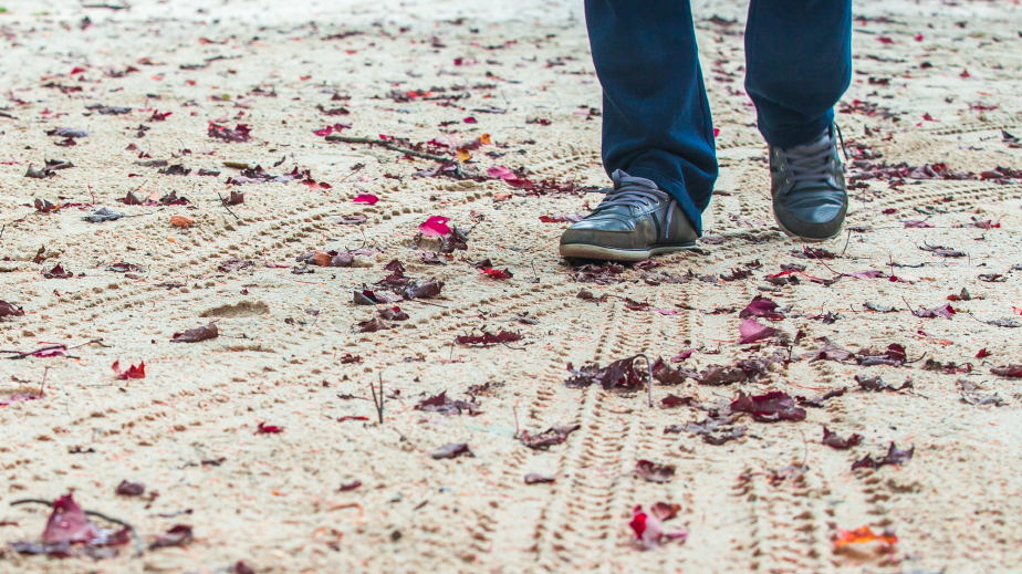 istock_000048568528_small